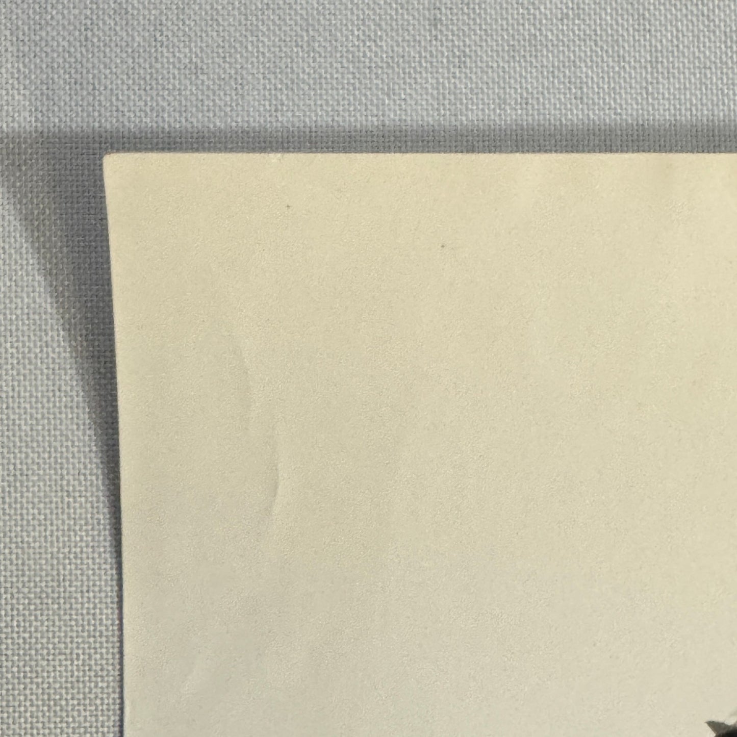 Vintage Racing Photograph Drivers on Victory Podium Race Photo