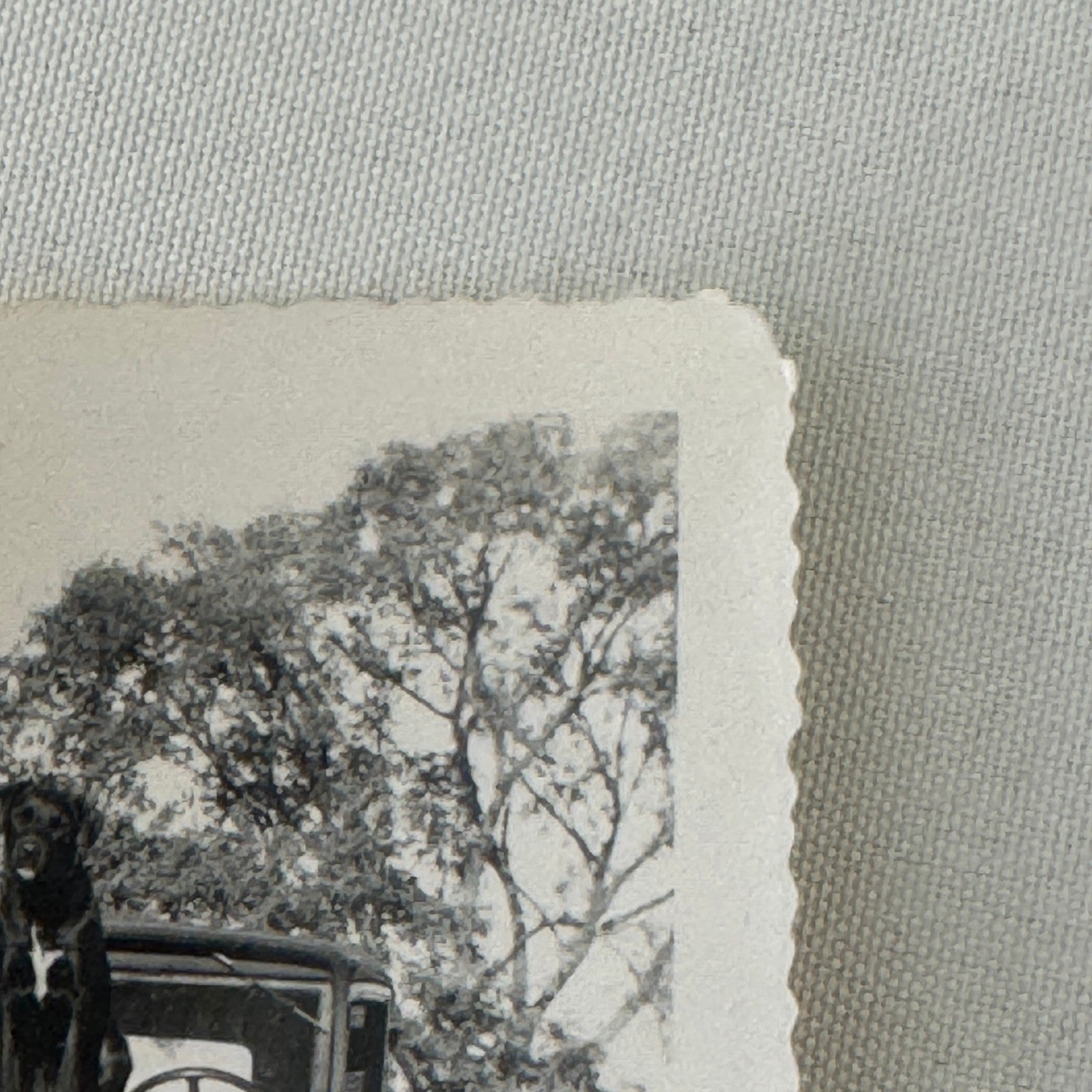 Vintage Dog Automobile Photo Photograph Print Snapshot Early Car