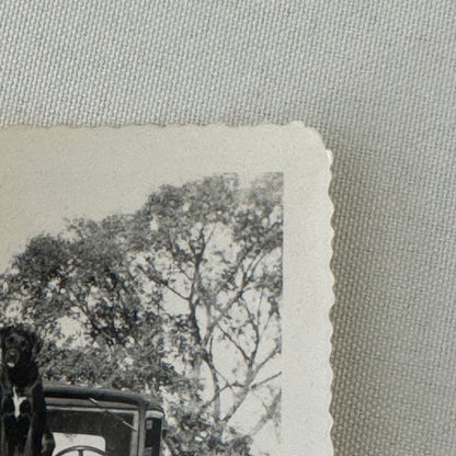Vintage Dog Automobile Photo Photograph Print Snapshot Early Car