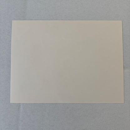 Porsche Quaker State Indy Racing Car Photo Photograph Print