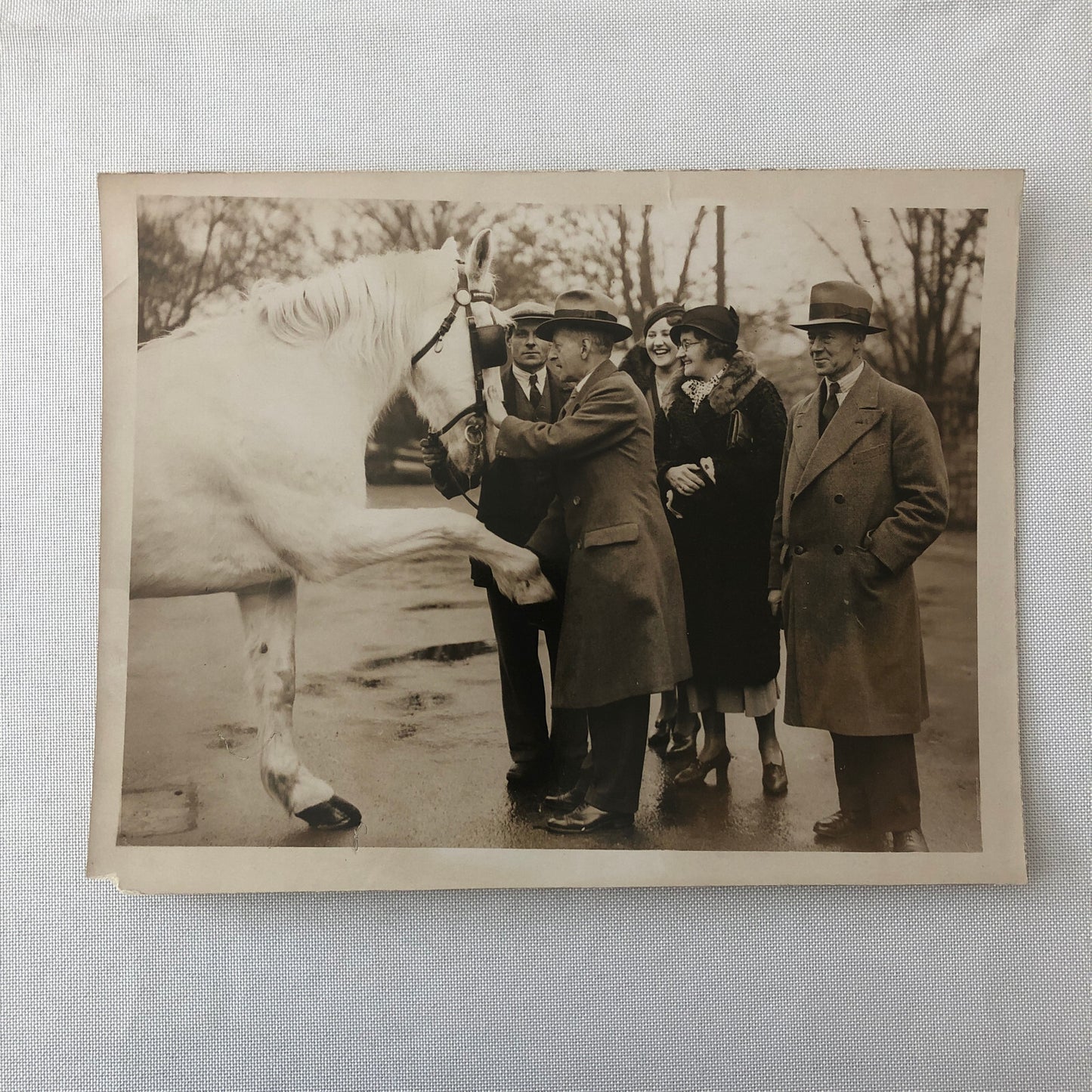 Vintage Press Photo Photograph War Horse Retirement Mayor Southgate London 1934