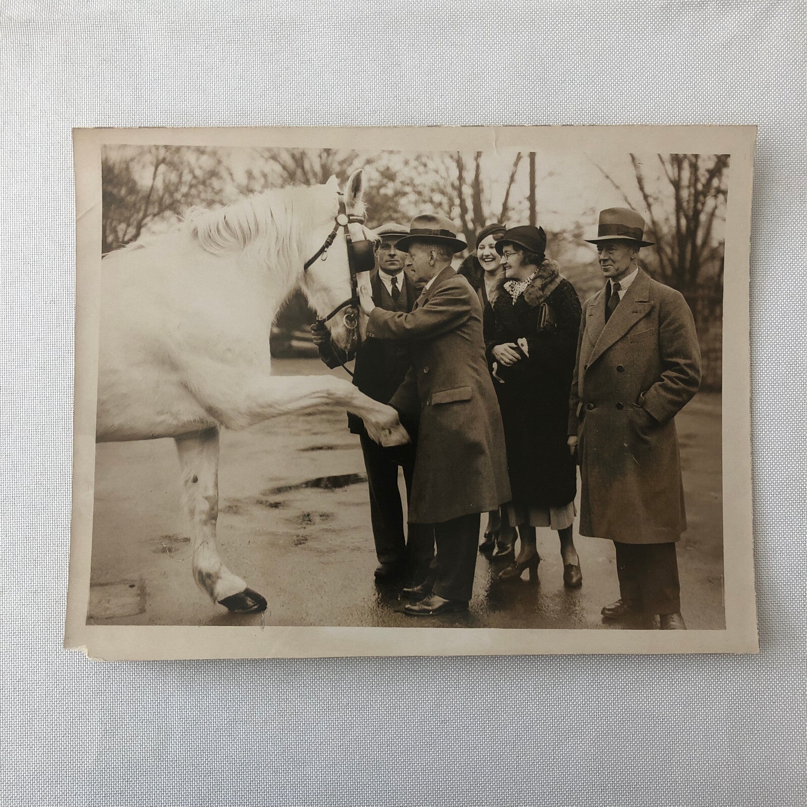 Vintage Press Photo Photograph War Horse Retirement Mayor Southgate London 1934