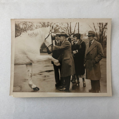 Vintage Press Photo Photograph War Horse Retirement Mayor Southgate London 1934