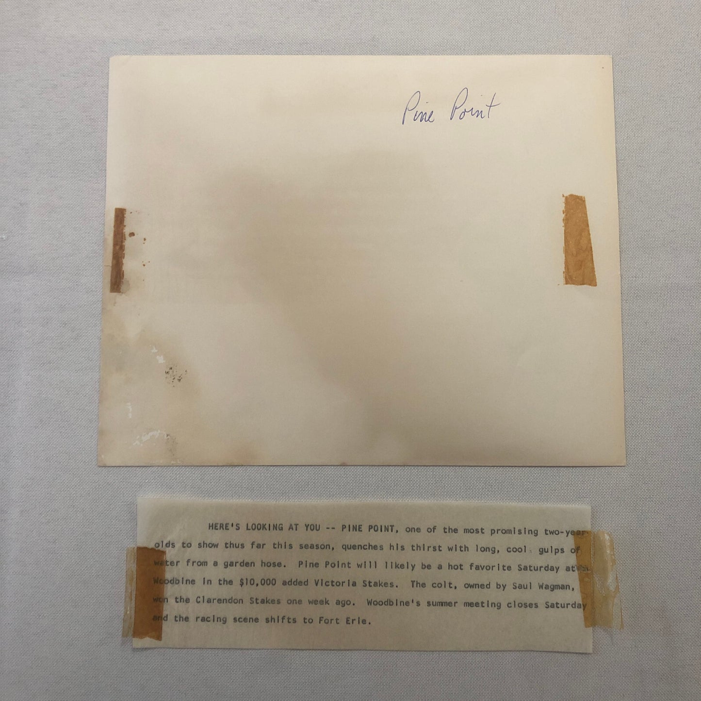 Vintage Horse Racing Photo Photograph Pine Point