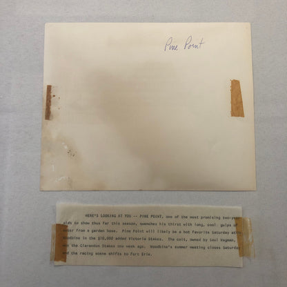 Vintage Horse Racing Photo Photograph Pine Point