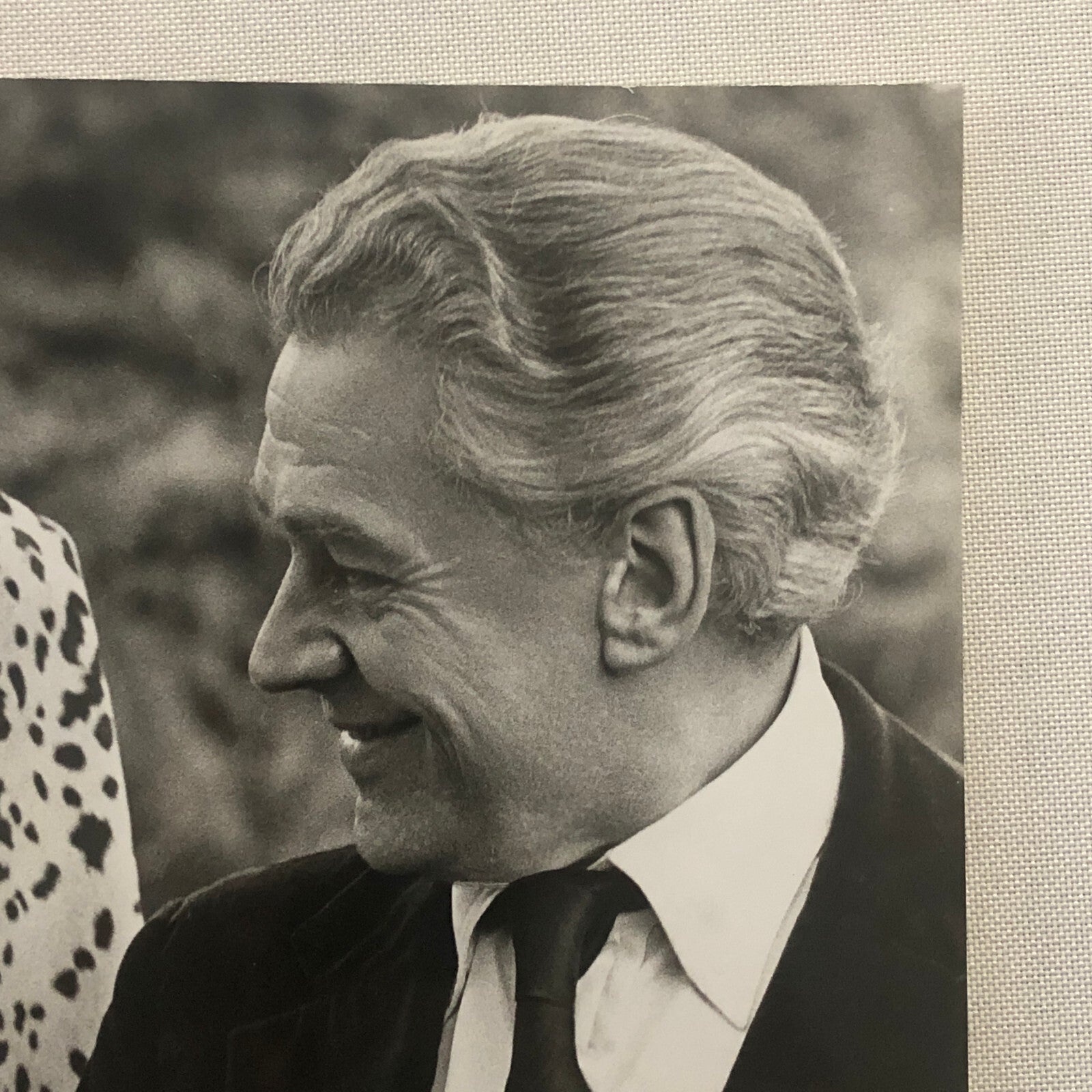 Katharine Hepburn Actress Photo Photograph Print Movie Still