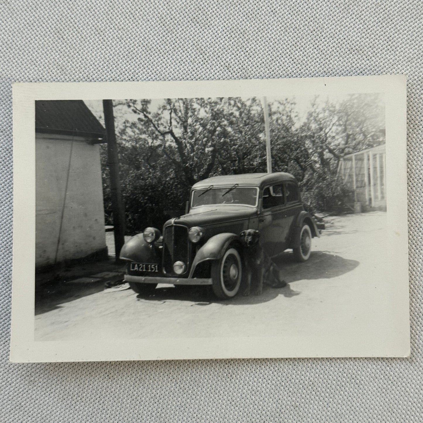Dog with Antique Car Automobile Photo Photograph Lot of 2x Vintage