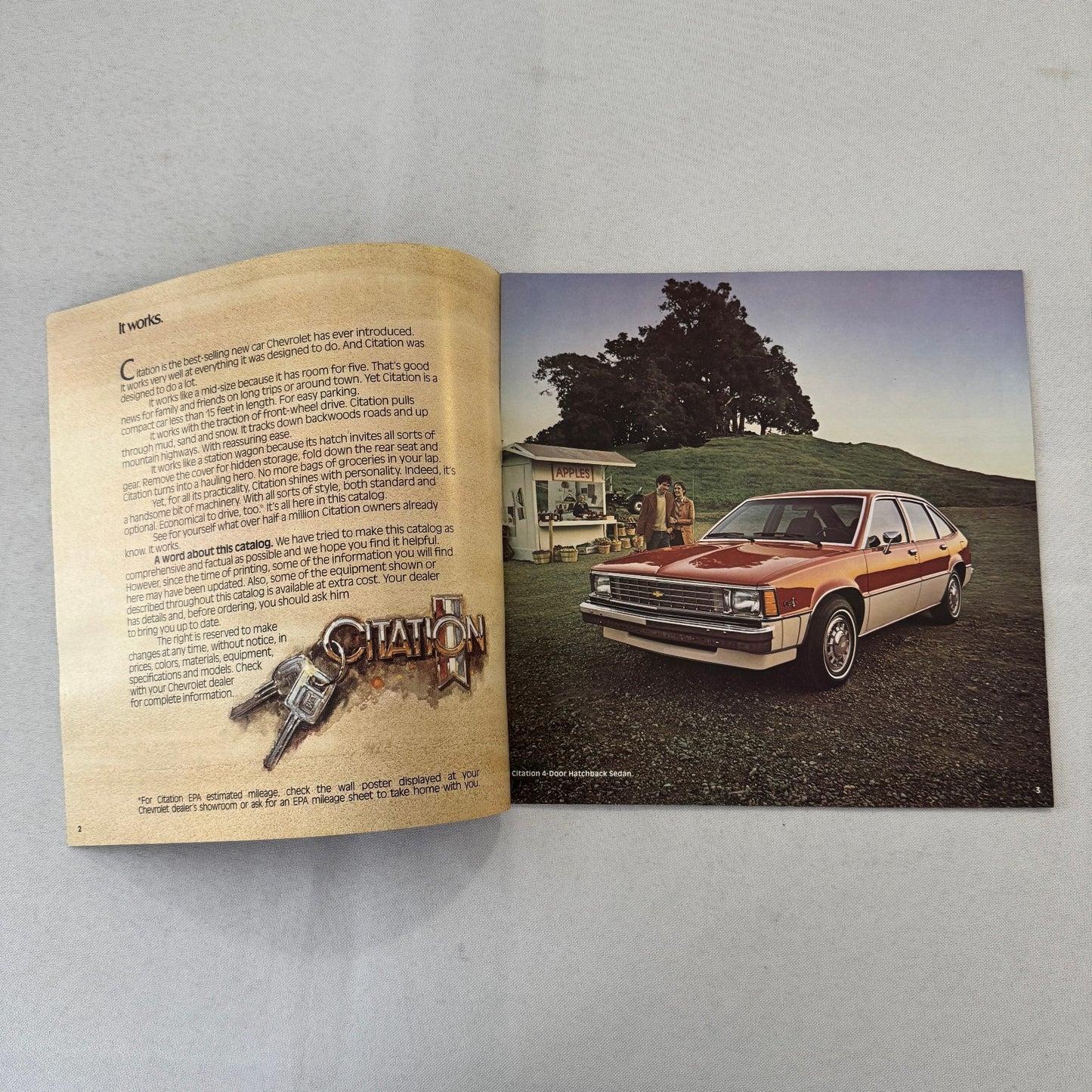 1981 Chevrolet Citation Car Sales Brochure Catalog Chevy X11 X-11