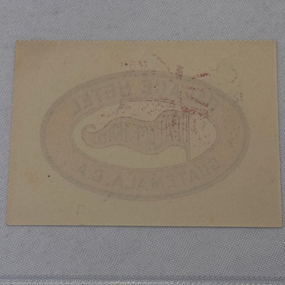 Vintage Hotel Travel Label Palace Hotel Guatemala