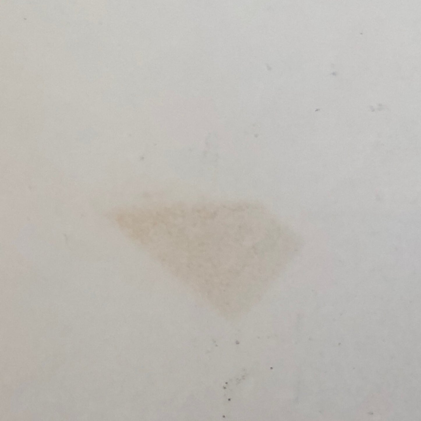 Vintage Racing Photo Photograph Graham Hill BRM Jim Clark Lotus Goodwood 1964