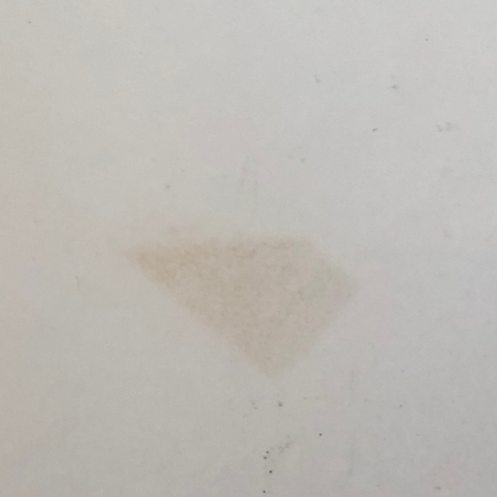 Vintage Racing Photo Photograph Graham Hill BRM Jim Clark Lotus Goodwood 1964