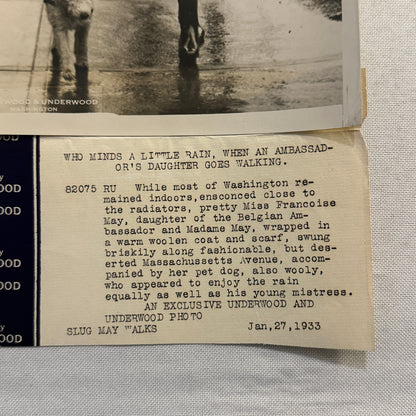 1933 Press Photo Photograph Daughter of Belgian Ambassador Walking Dog in Rain