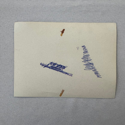 Circus Performer Roller Skating Act Roller Skate Photo Photograph 2 Veronas