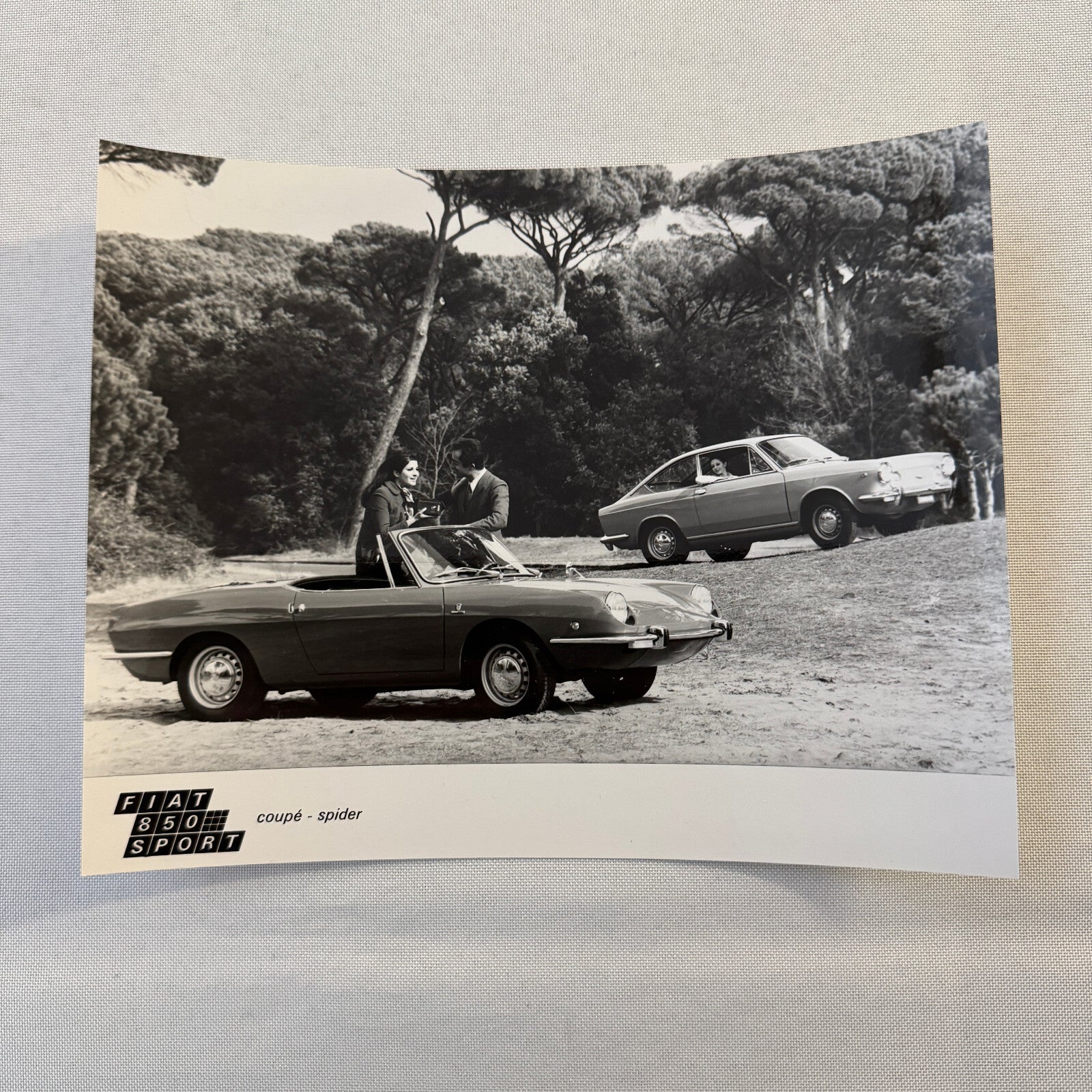 FIat 850 Sport Coupe and Spider Car Factory Press Photo Photograph Vintage