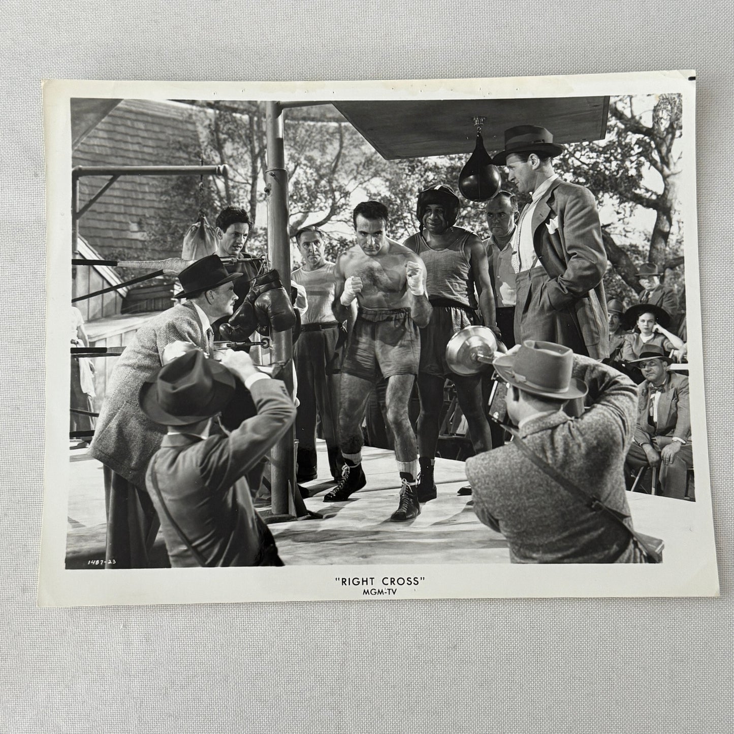 Vintage Movie Press Photo Photograph Right Cross MGM TV Boxing Boxer