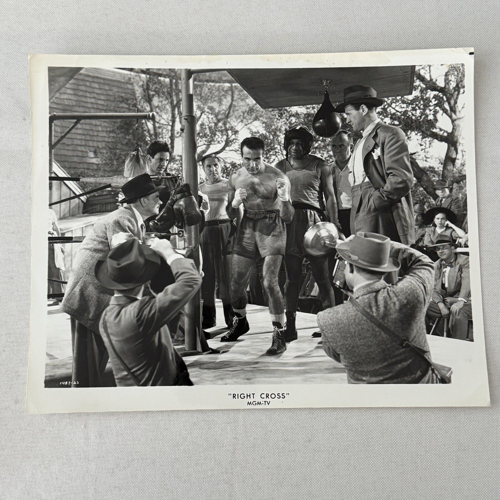 Vintage Movie Press Photo Photograph Right Cross MGM TV Boxing Boxer