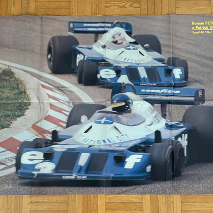 Ronnie Peterson Patrick Depailler Tyrrell ELF Cosworth Racing Car Poster