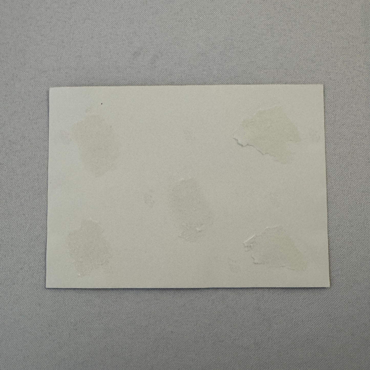 Vintage Porsche Racing Car Photo Photograph