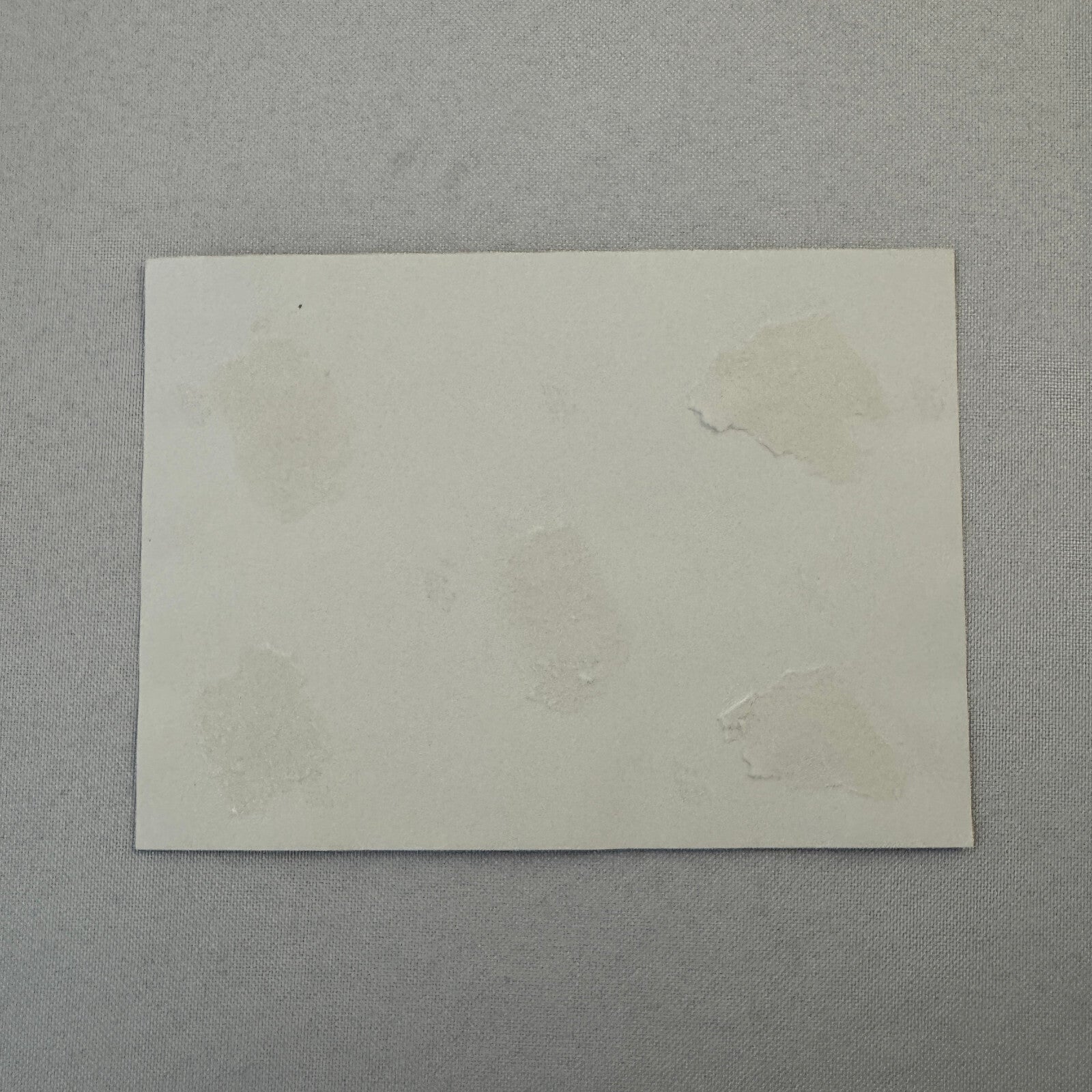 Vintage Porsche Racing Car Photo Photograph