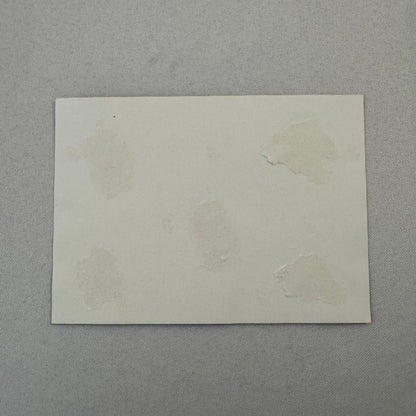 Vintage Porsche Racing Car Photo Photograph