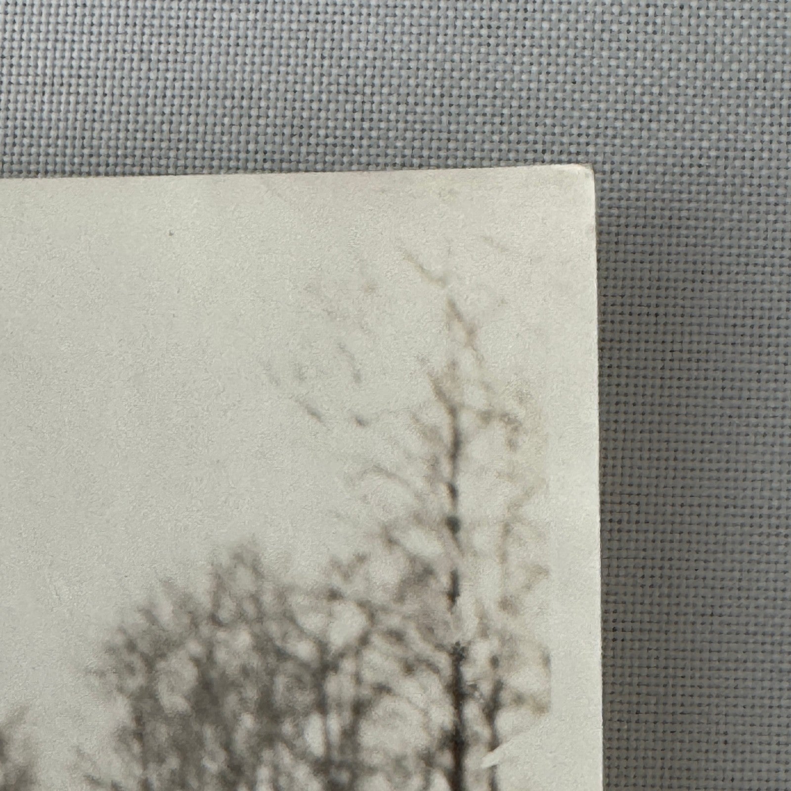 Bordentown Military Institute Cadets George Washington Tribute Press Photo Canon