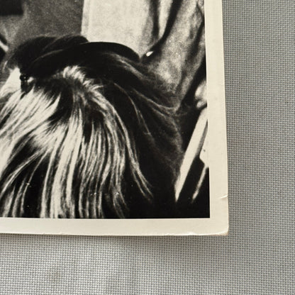 Vintage Car Racing Photo Circuit Mont Tremblant Quebec Photograph