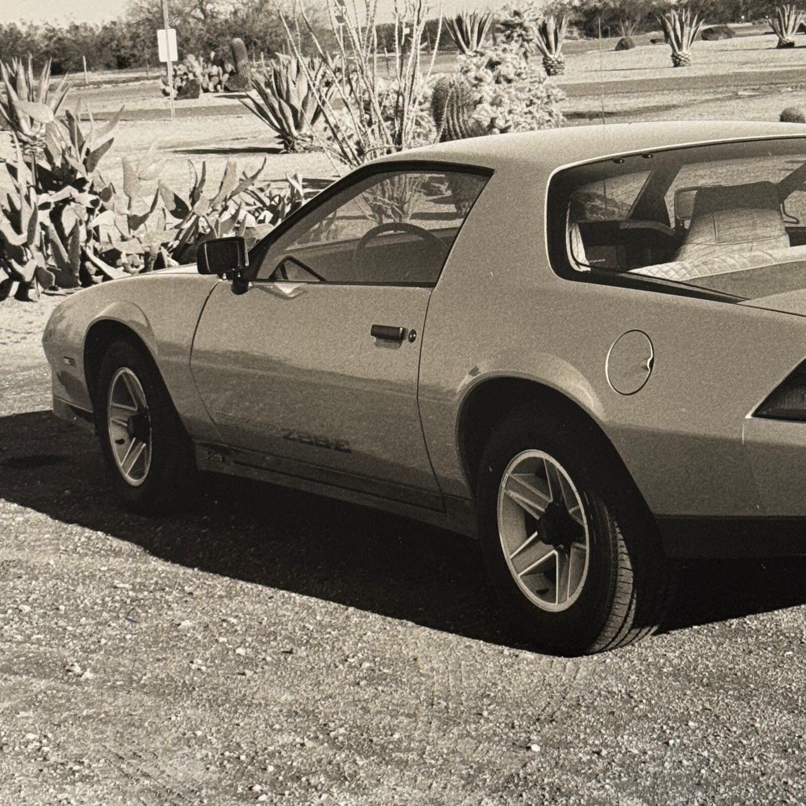Chevrolet Camaro Factory Press Publicity Photo Photograph Print Chevy