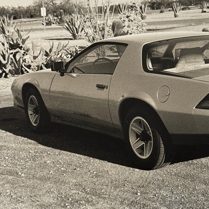 Chevrolet Camaro Factory Press Publicity Photo Photograph Print Chevy