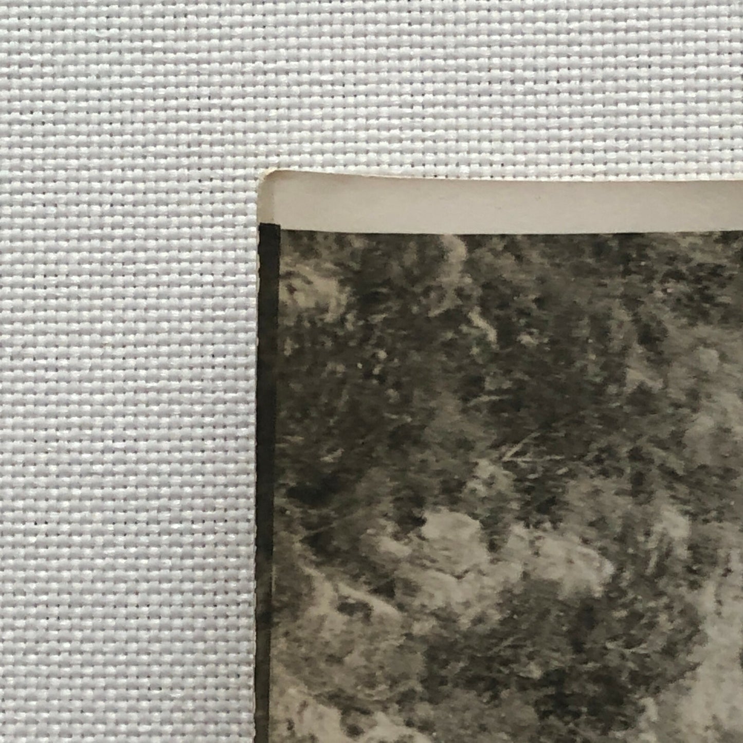 Antique Press Photo Photograph Meurisse Paris Nice Rally Racing Darracq Car ? 