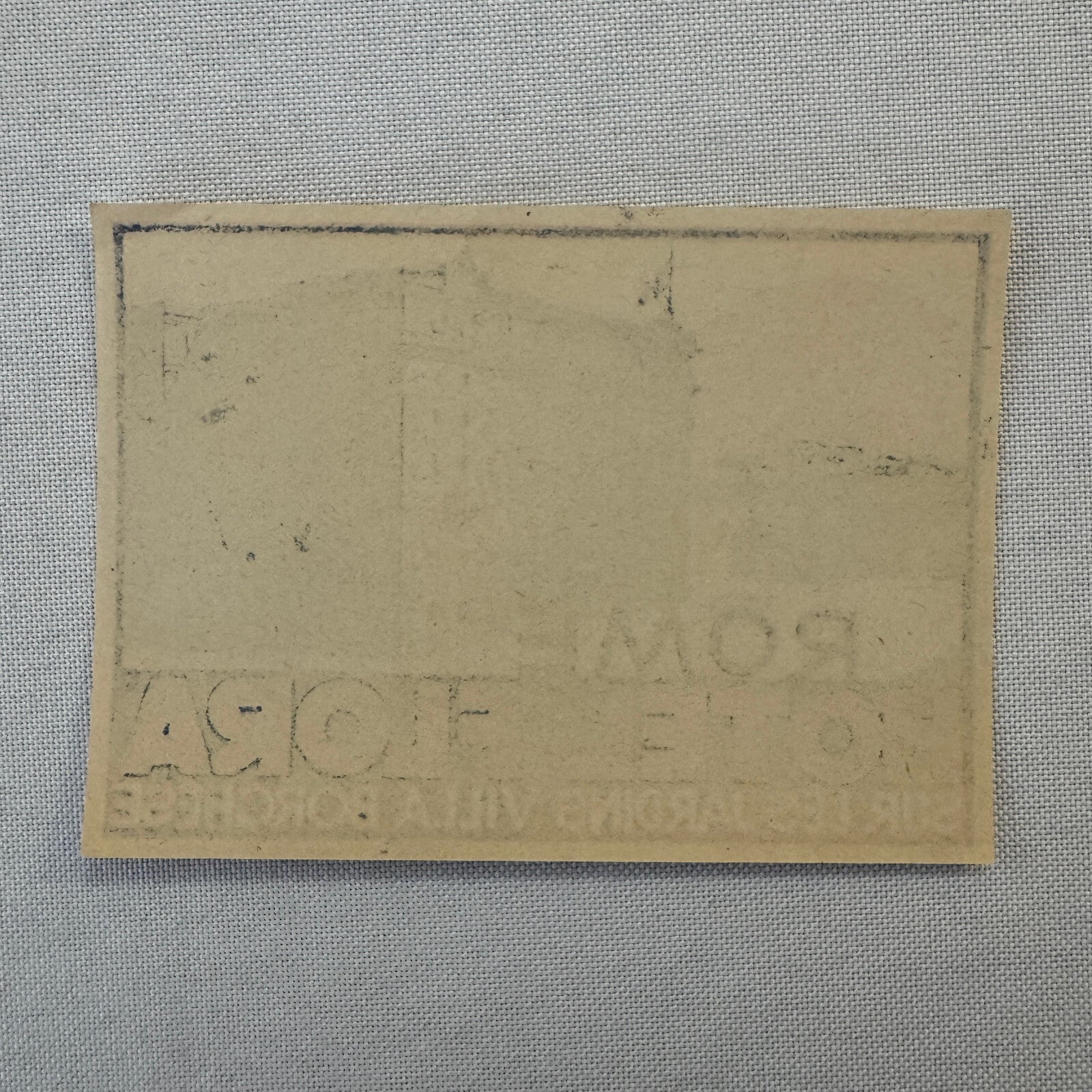 Vintage Hotel Travel Label Hotel Flora Rome Italy Italian Villa Borghese