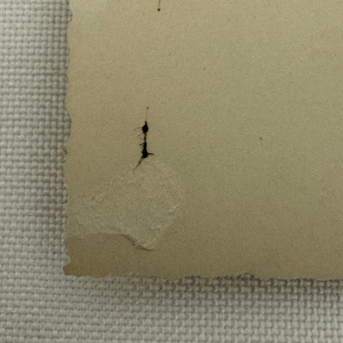 Vintage Racing Car Photo Photograph Early Automobile Motorsport