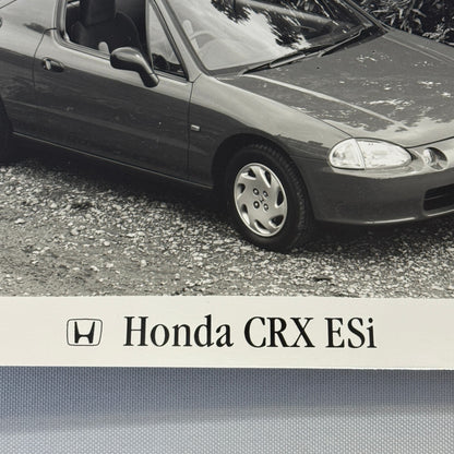 Vintage Honda CRX ESi Factory Press Photograph Photo Honda Civic Del Sol