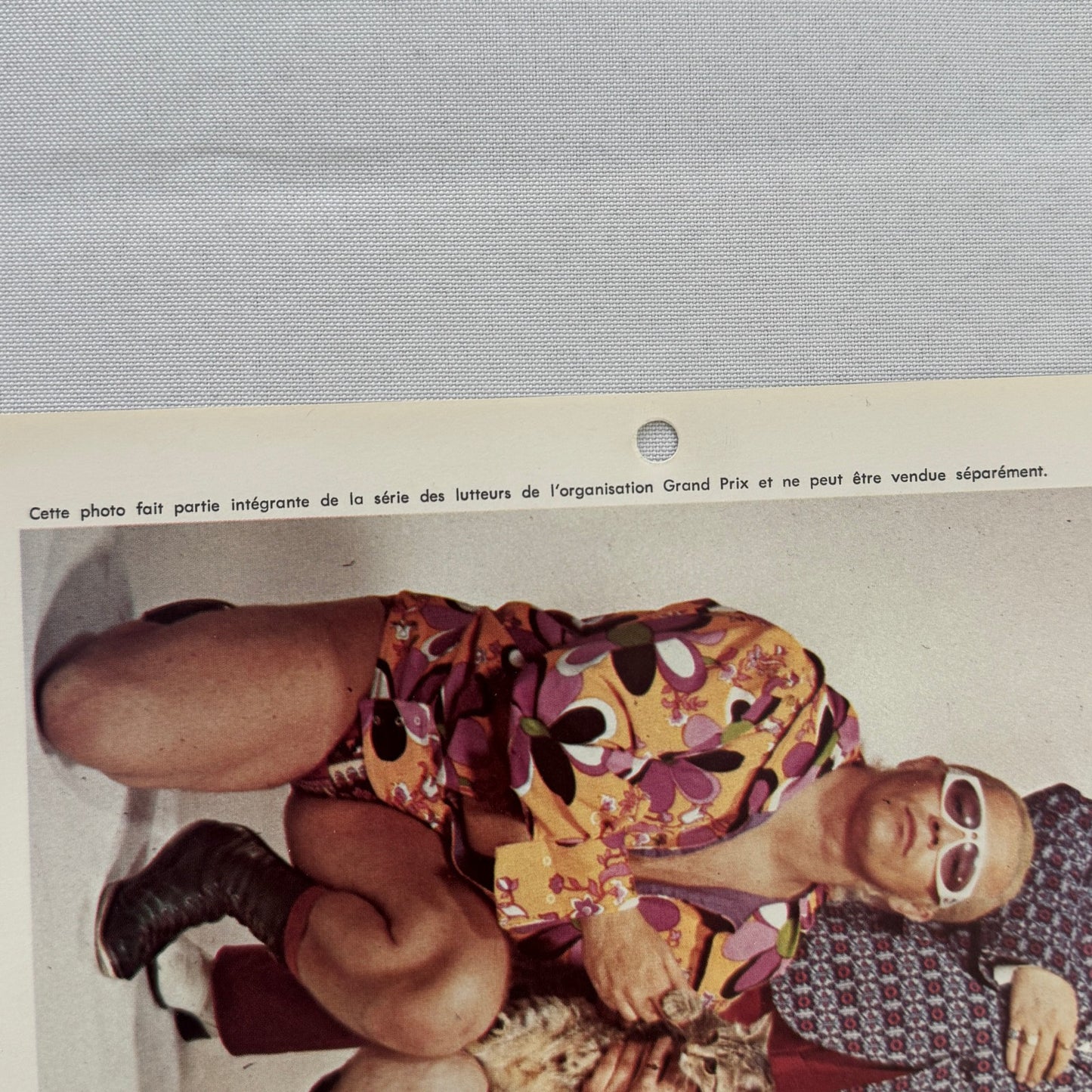 Vintage Wrestling Print Insert Dale Roberts Gerry Brown French Quebec 1973