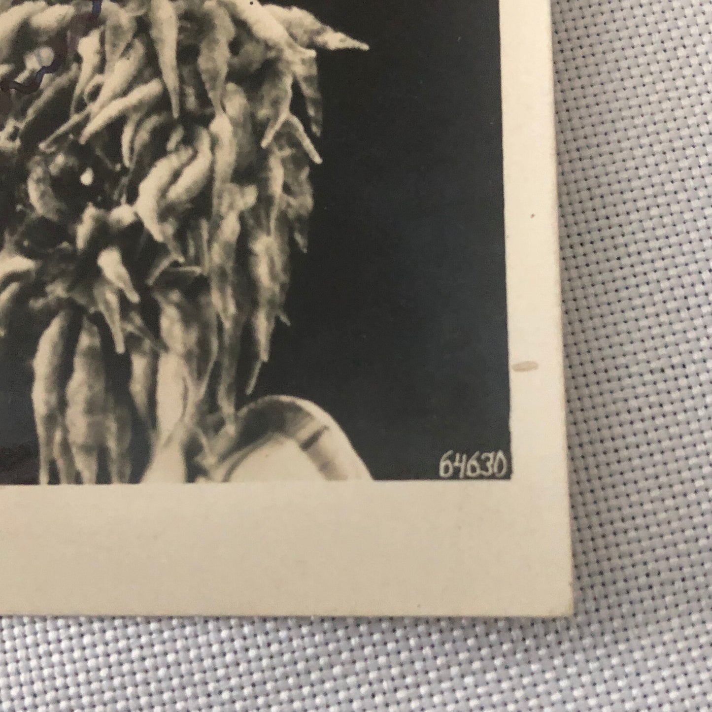 Circus Performer in Costume Real Photo Postcard Post Card RPPC Vintage European