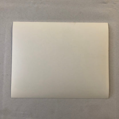 Janet Jackson Poetic Justice Movie Film Press Photo Photograph 1993