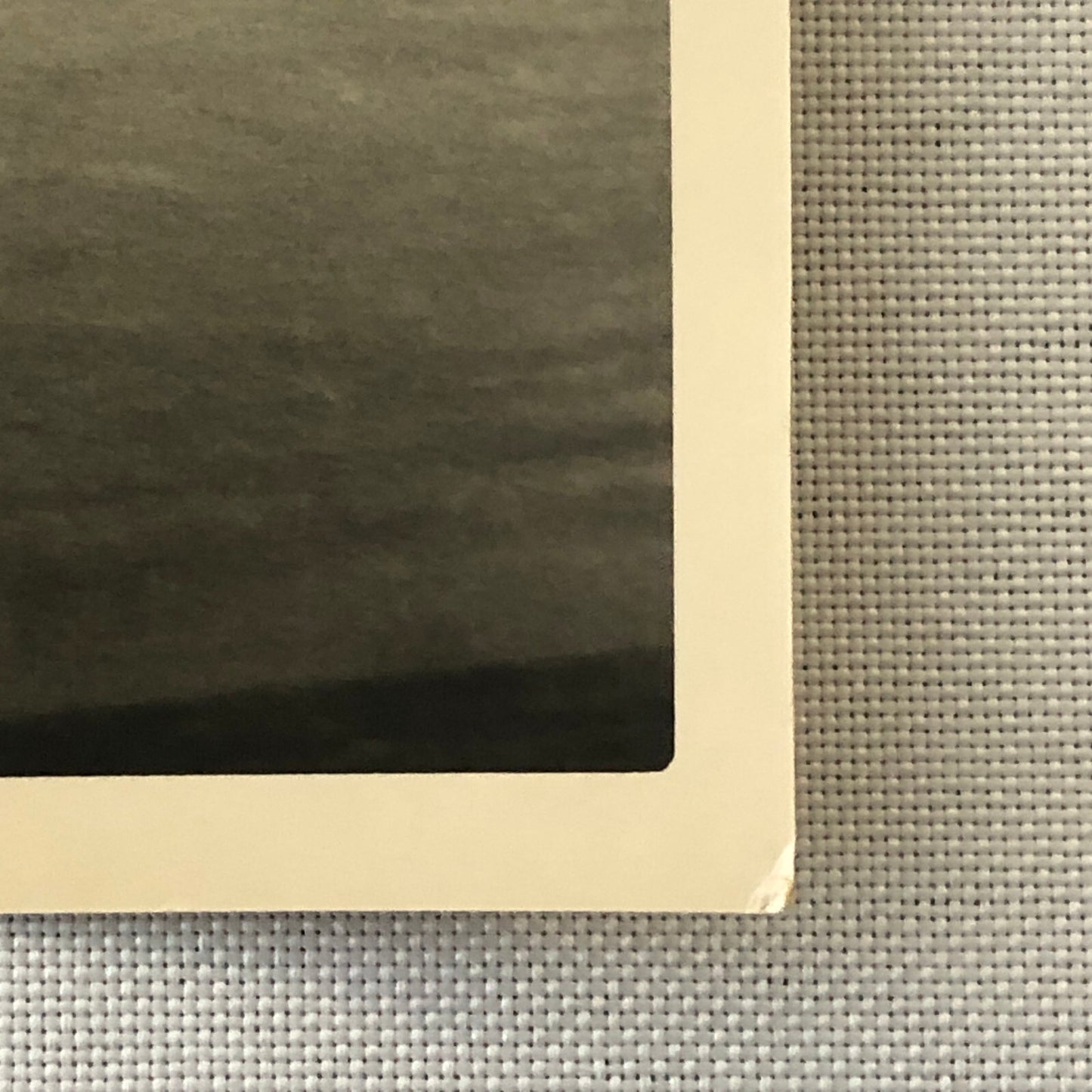 Circus Performer Bicycle Balancing Act Vintage Photo Photograph 1952