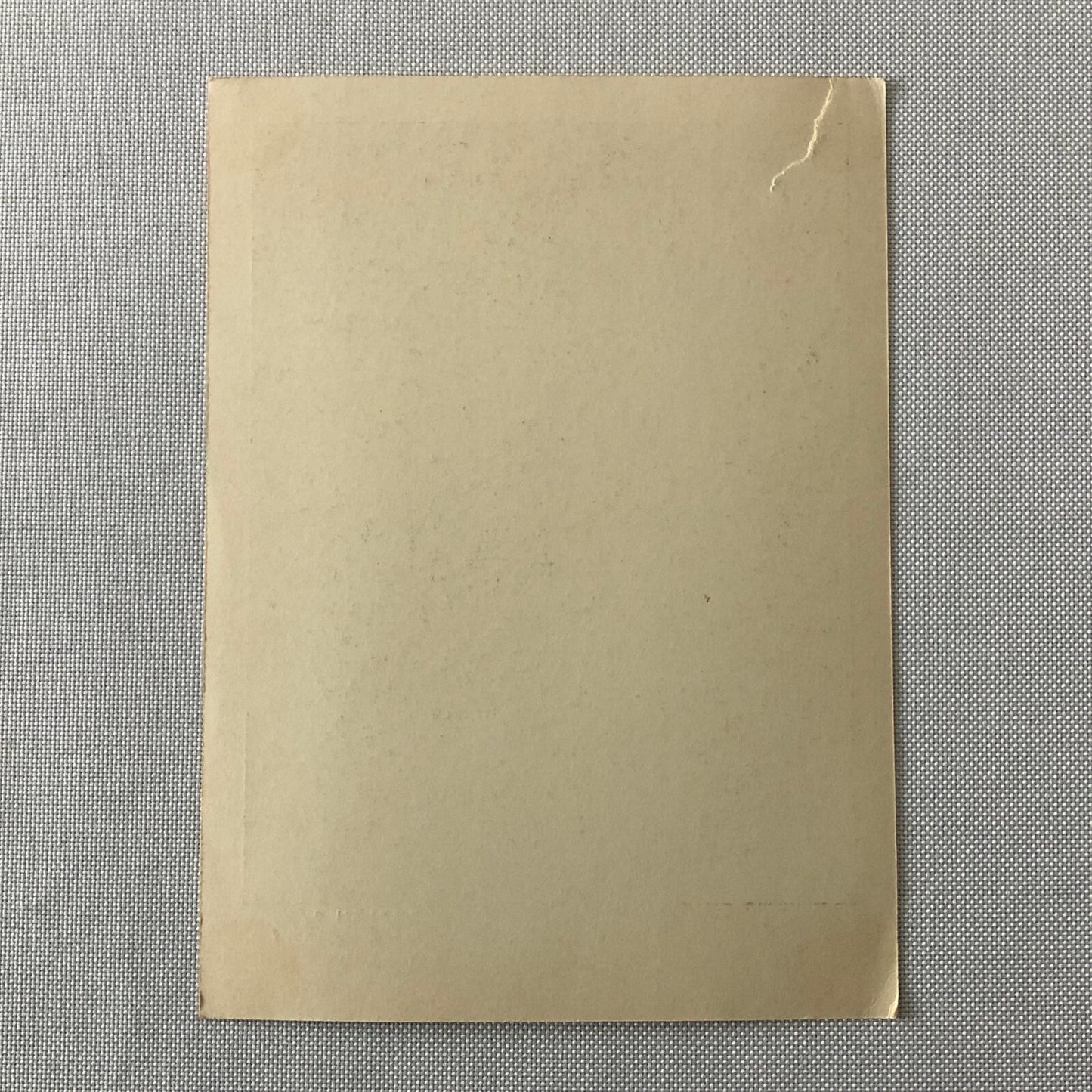 Circus Performer Edith Riegert Bicycle Acrobat Stunt Photo Photograph Child Girl