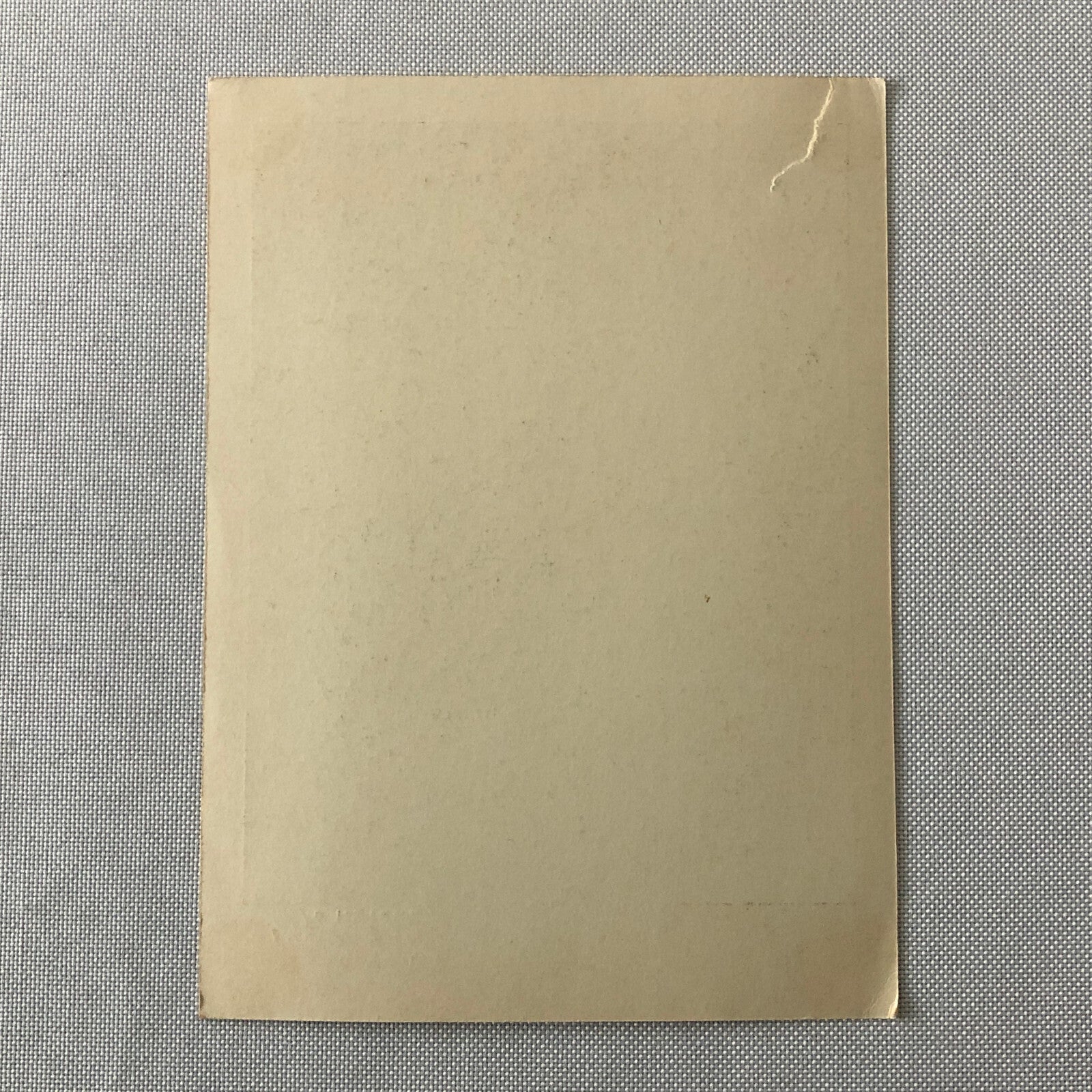 Circus Performer Edith Riegert Bicycle Acrobat Stunt Photo Photograph Child Girl