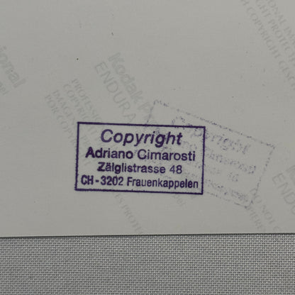 Fiat Abarth 750 Record Bertone 1956 Monza Racing Car Photo Photograph Modern