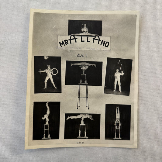 Vintage Circus Juggling Balancing Act Flyer Mrallano