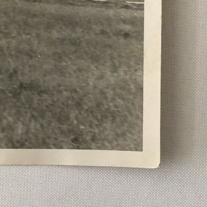 Vintage Racing Car Photo Photograph Can AM CanAM Unidentified