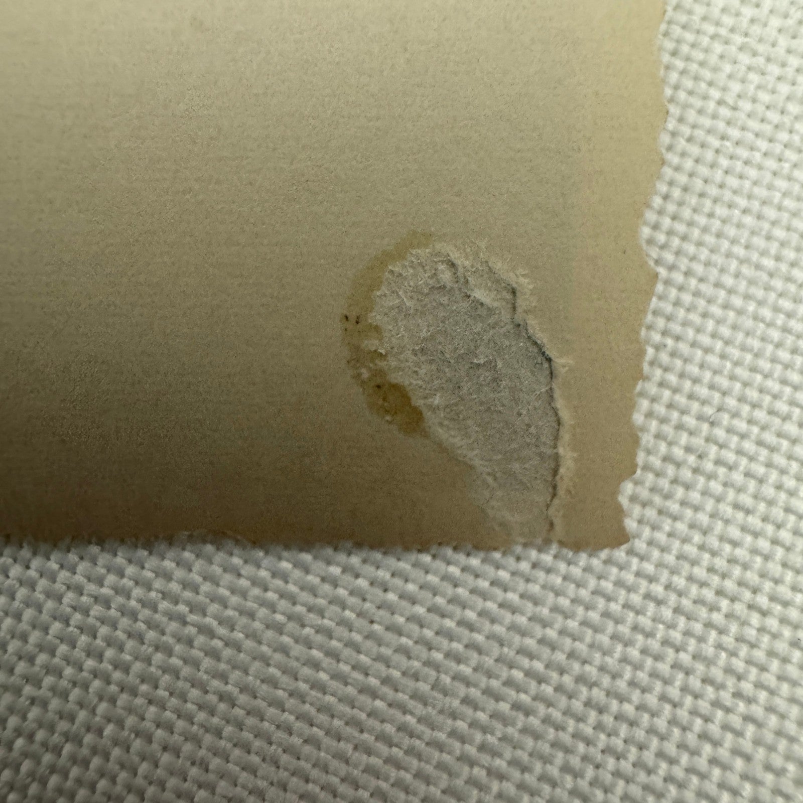 Vintage Racing Car Photo Photograph Early Automobile Motorsport