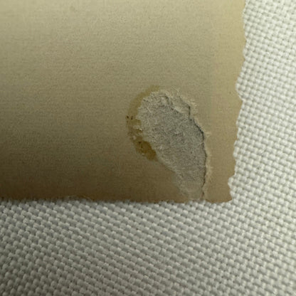 Vintage Racing Car Photo Photograph Early Automobile Motorsport