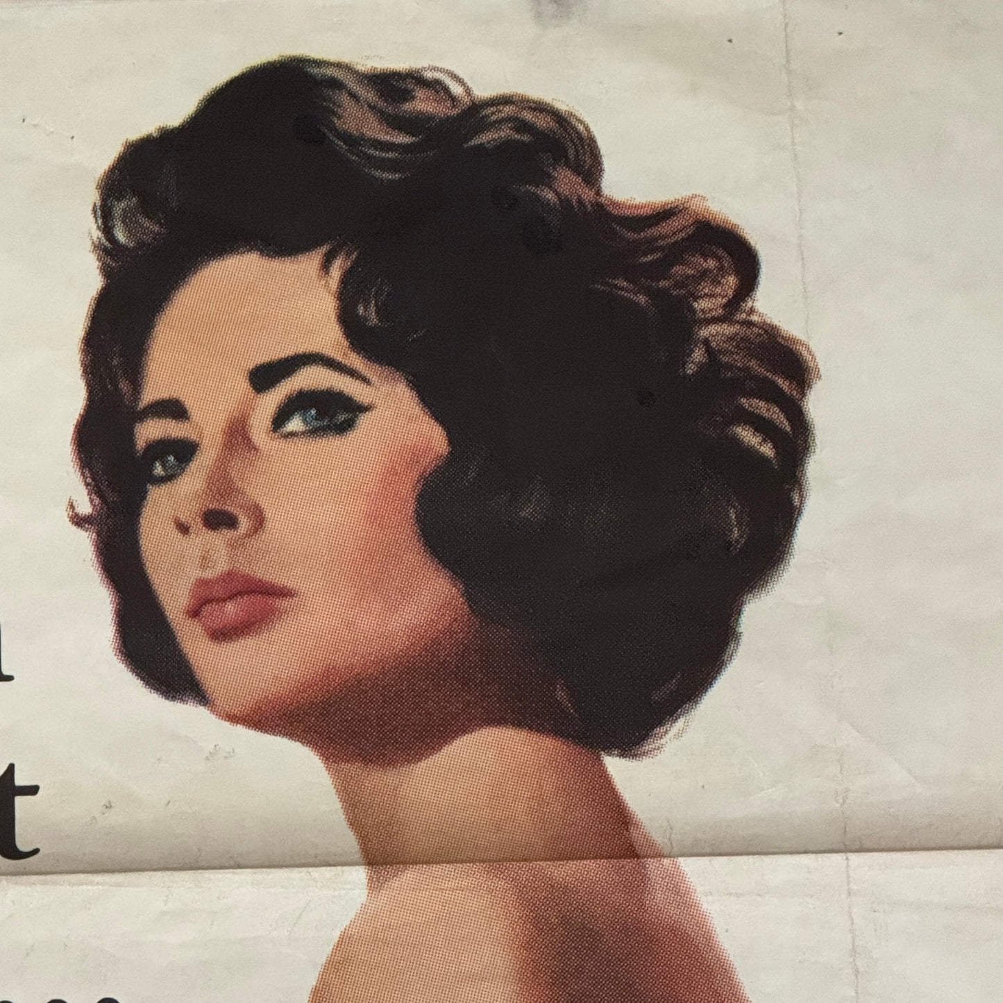 Vintage Movie Poster Butterfield 8 1960 Elizabeth Taylor Film