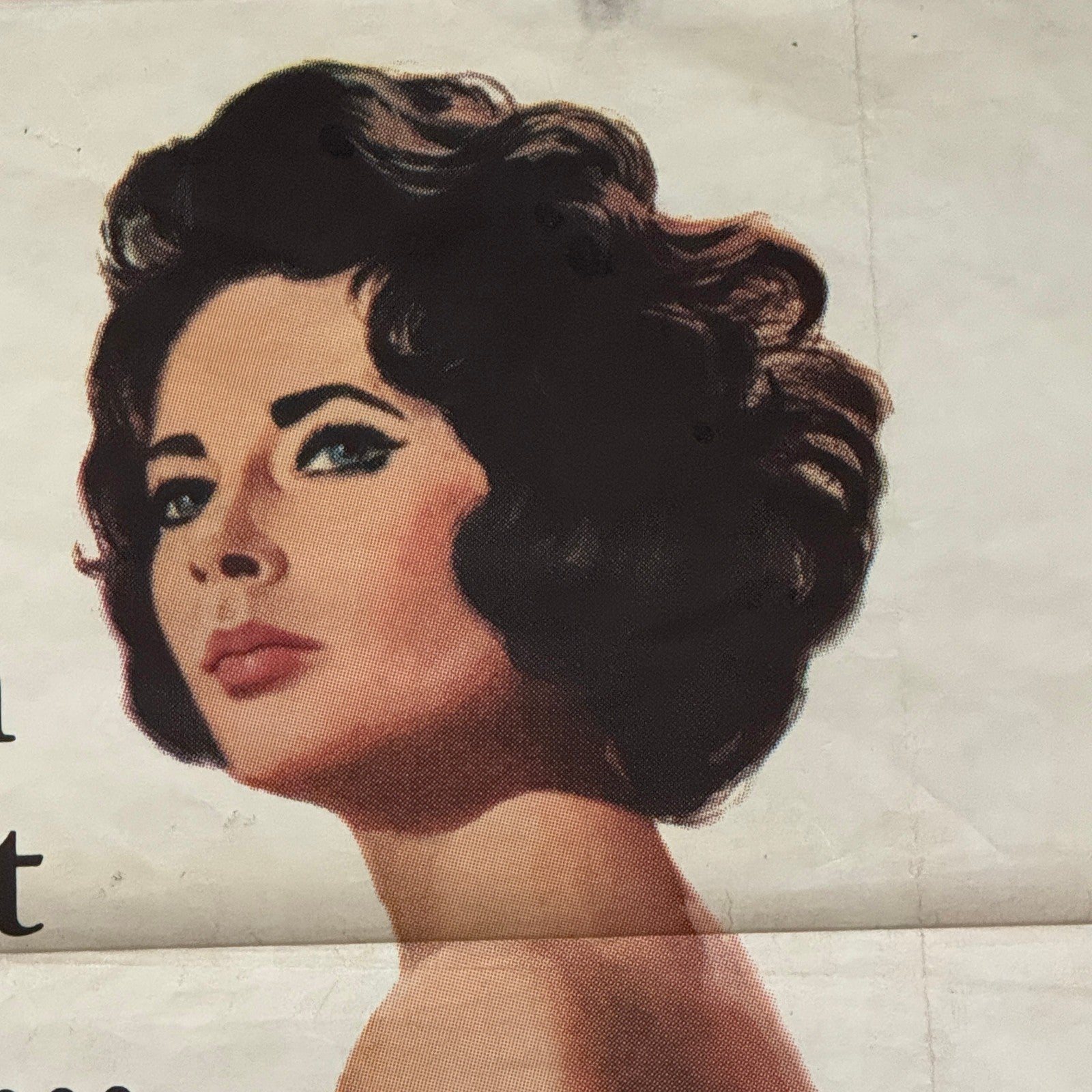 Vintage Movie Poster Butterfield 8 1960 Elizabeth Taylor Film