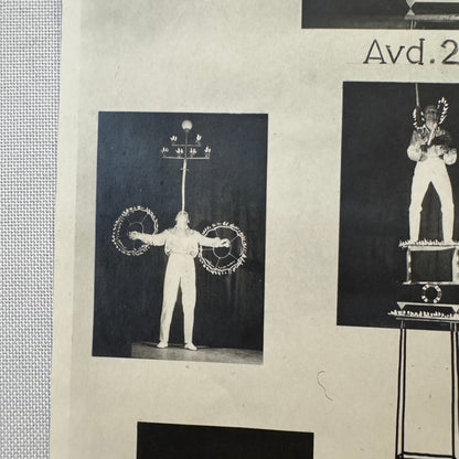 Vintage Circus Juggling Balancing Act Flyer Mrallano