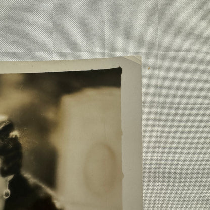 1934 Press Photo Photograph Wife of Belgian Diplomat Eugene de Ligne Fashion