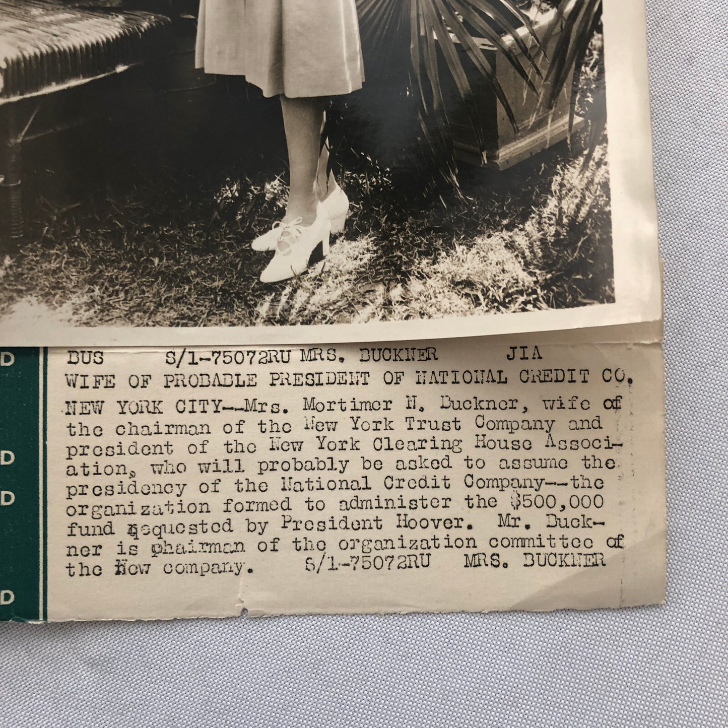 Press Photo Photograph Society Woman Mrs Mortimer N Buckner New York Trust