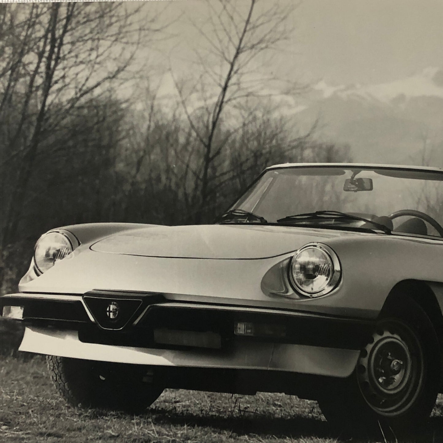 Alfa Romeo Spider Car Photo Photograph Print