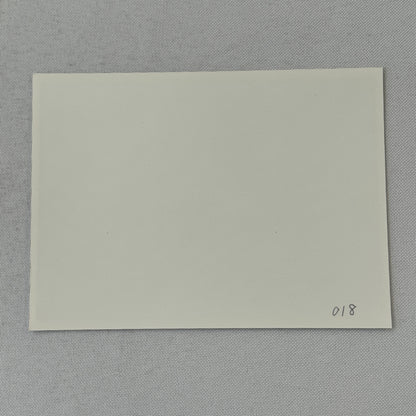 Vintage Toyota Car Press Photo Photograph